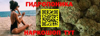 индика Лесосибирск