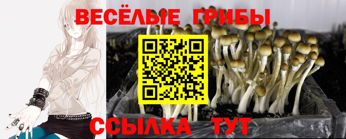 Галлюциногенные грибы MAGIC MUSHROOMS  где можно купить наркотик  Среднеуральск  Вход с VPN 