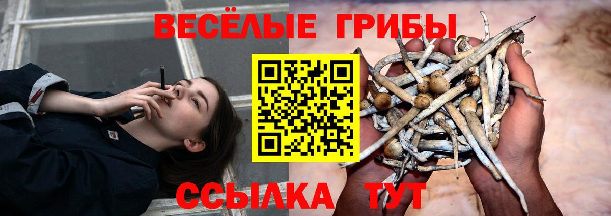 Галлюциногенные грибы прущие грибы Среднеуральск